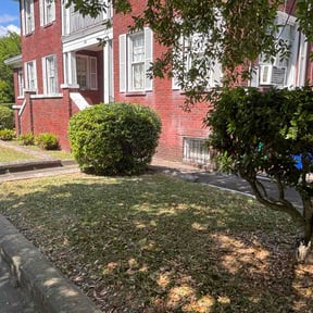 Bush Trimming by Whyexperts LLC reviewed on April 12, 2026