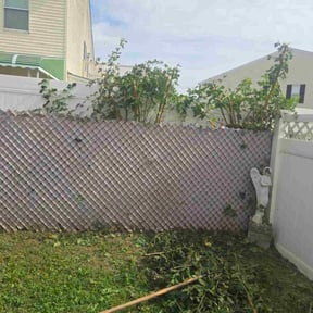 lawn care by On The Go Lawn Care reviewed on June 5, 2025