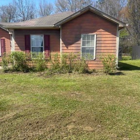 Bush Trimming by Casper lawncare reviewed on March 22, 2026