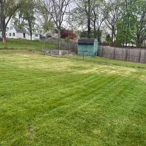 lawn care services by ASB LAWN MODIFICATION  reviewed on September 14, 2023