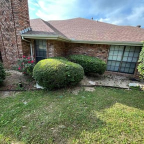 Bush Trimming by Ahomeatherapy LLC reviewed on August 19, 2025