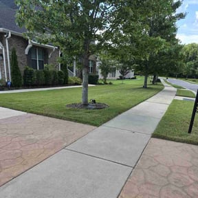 yard service by YardWRX reviewed on December 4, 2025