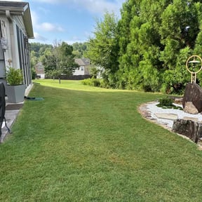 yard care by Thomas Fador reviewed on April 22, 2024