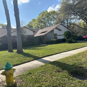 yard maintenance by Service Squad L.L.C. reviewed on August 17, 2025