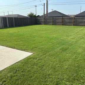yard care by Green For You reviewed on August 17, 2025