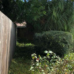 Bush Trimming by Jgh Lawn Co. &amp; Pressure Washing LLC reviewed on November 20, 2025