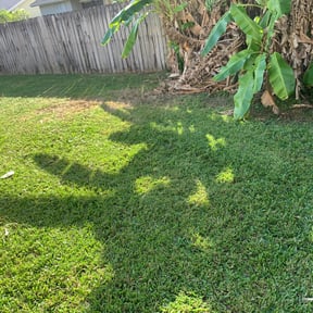 Bush Trimming by Aquino’s Landscape reviewed on August 20, 2025