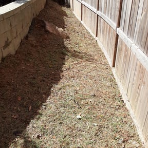 Flower Bed Weeding by Premier Property Managment reviewed on August 15, 2025