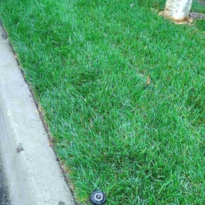 Sprinkler Repair by  reviewed on June 11, 2025