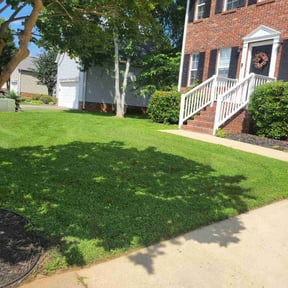 turf care by The Lawn Care Guy reviewed on June 24, 2022