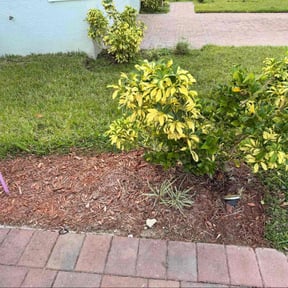 Flower Bed Weeding by TOMS - Total Outdoor Maintenance reviewed on November 19, 2025