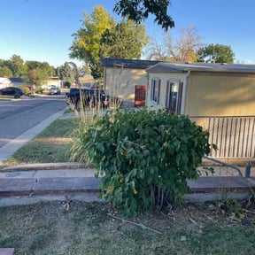 Bush Trimming by J&M Landscaping reviewed on August 18, 2025