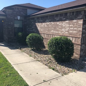 Bush Trimming by GrassFX Lawn Care reviewed on August 17, 2025