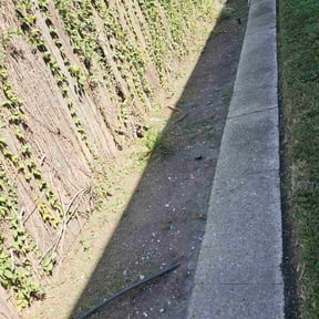 Flower Bed Weeding by Stand lawn care Services reviewed on April 20, 2024