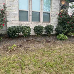 Bush Trimming by Mow Pros LLC reviewed on August 18, 2025