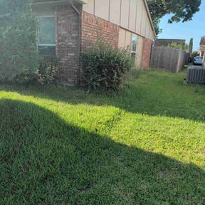 Bush Trimming by Speedys Contractor LLC reviewed on July 14, 2026