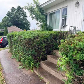 Bush Trimming by BGlawnservices40@gmail.com reviewed on June 26, 2026