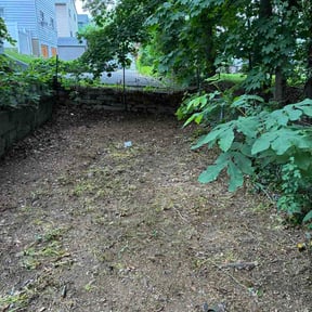 Leaf Removal by T's lawn care reviewed on July 5, 2026