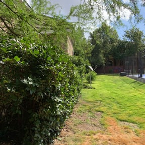 Bush Trimming by F.M.F. Landscape reviewed on May 21, 2024