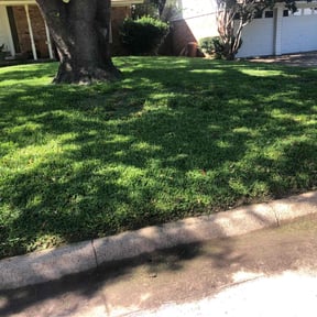 Other by Lawn Bros reviewed on May 27, 2022