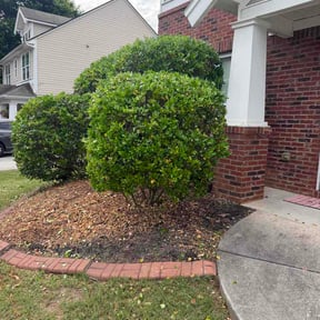 Bush Trimming by Justin’s Landscaping reviewed on May 26, 2026