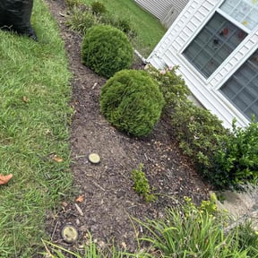 Flower Bed Weeding by SLC Groundskeepers reviewed on October 20, 2025