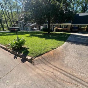 yard care by Cay Property Management reviewed on August 18, 2025