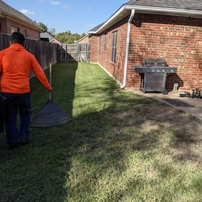 Leaf Removal by Jose Landscaping. reviewed on September 25, 2025