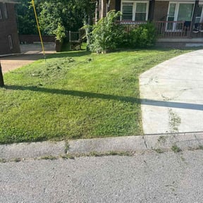 lawn care by Chris & Tony Lawntastic service LLC reviewed on May 6, 2024