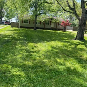 landscaping services by Saints Lawn & Land reviewed on August 16, 2025