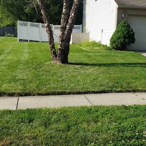 residential landscaping by Blue Hen lawn care reviewed on August 16, 2025