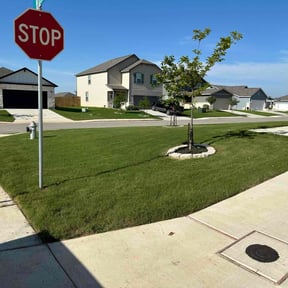 yard service by Blooming SEEDZ reviewed on April 3, 2025