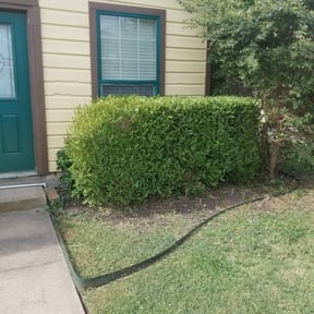 Bush Trimming by Lawn and Labor Services reviewed on August 19, 2025
