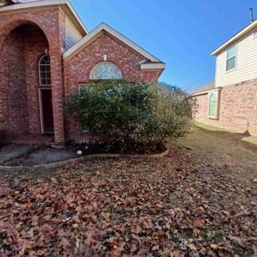 Bush Trimming by Shine rite reviewed on December 30, 2025