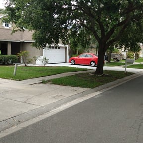 Bush Trimming by 4C's Lawn Care LLC reviewed on August 13, 2025