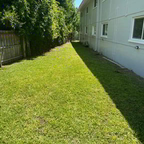 yard care by PizzaCuts reviewed on May 15, 2025