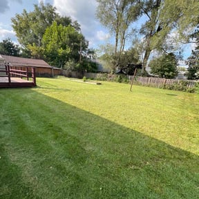 turf care by PPPlawn reviewed on November 7, 2023