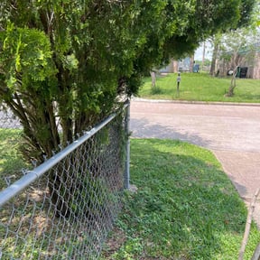 Bush Trimming by Adams Paiz reviewed on August 20, 2025