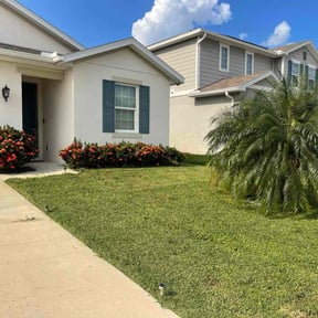 yard work by Picture perfect lawn care N Property specialists  reviewed on November 21, 2025