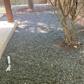 Leaf Removal by Gator Landscape reviewed on August 19, 2025