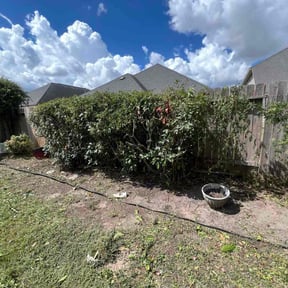 Bush Trimming by Mow Pro's Llc reviewed on November 21, 2025