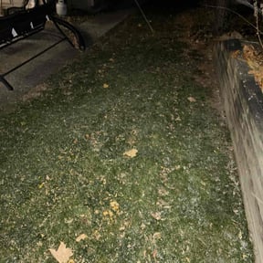 Leaf Removal by Landscaping reviewed on November 22, 2025