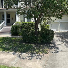 Bush Trimming by GB lawn service reviewed on August 15, 2025