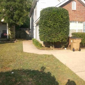 Bush Trimming by Cue landscaping llc reviewed on August 16, 2025