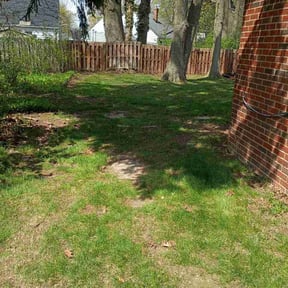 Leaf Removal by Advance Cutter Lawn Maintenance reviewed on June 27, 2026