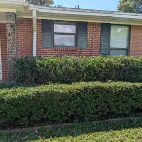 Bush Trimming by Ochoa Landscape and Irrigaton LLC reviewed on August 18, 2025