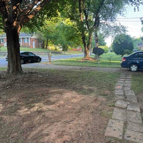 Bush Trimming by A-Z Land Care reviewed on May 3, 2026