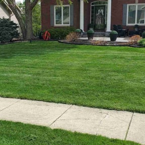 residential landscaping by No Mow Worries Lawn Care reviewed on August 21, 2025