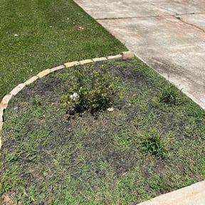 Flower Bed Weeding by Triple Crown Services and Landscaping LLC reviewed on October 18, 2025