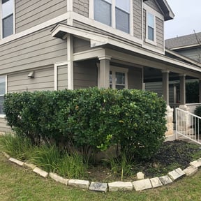 Bush Trimming by Coram landscaping reviewed on May 9, 2024